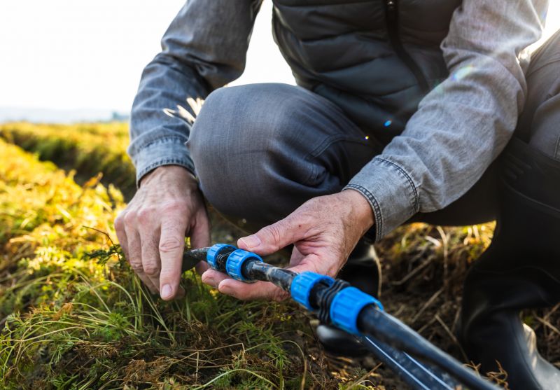 Drip Irrigation Repair