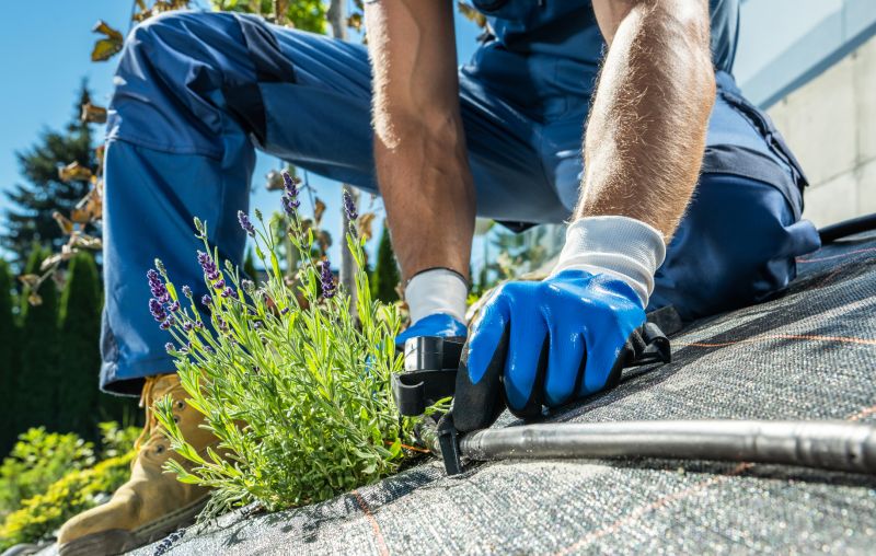 Tools You Actually Need