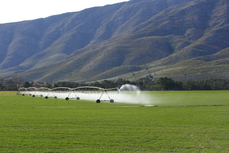 Inground Irrigation Service in Honolulu, HI