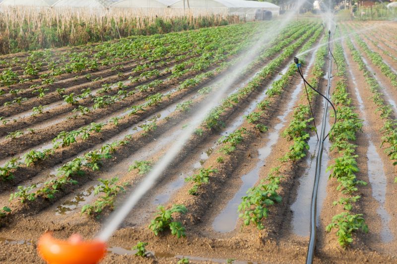 Irrigation System Replacement in Honolulu, HI