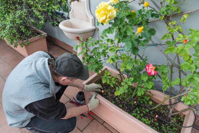 Increase Your Drip Irrigation Repair Business with an AI Driven, Targeted Website